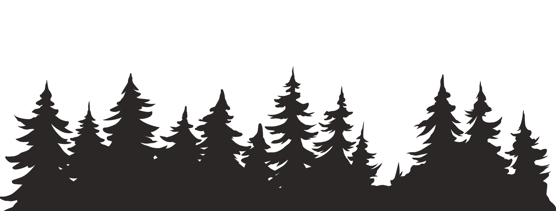 Silhouette of forest